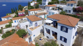Options House
